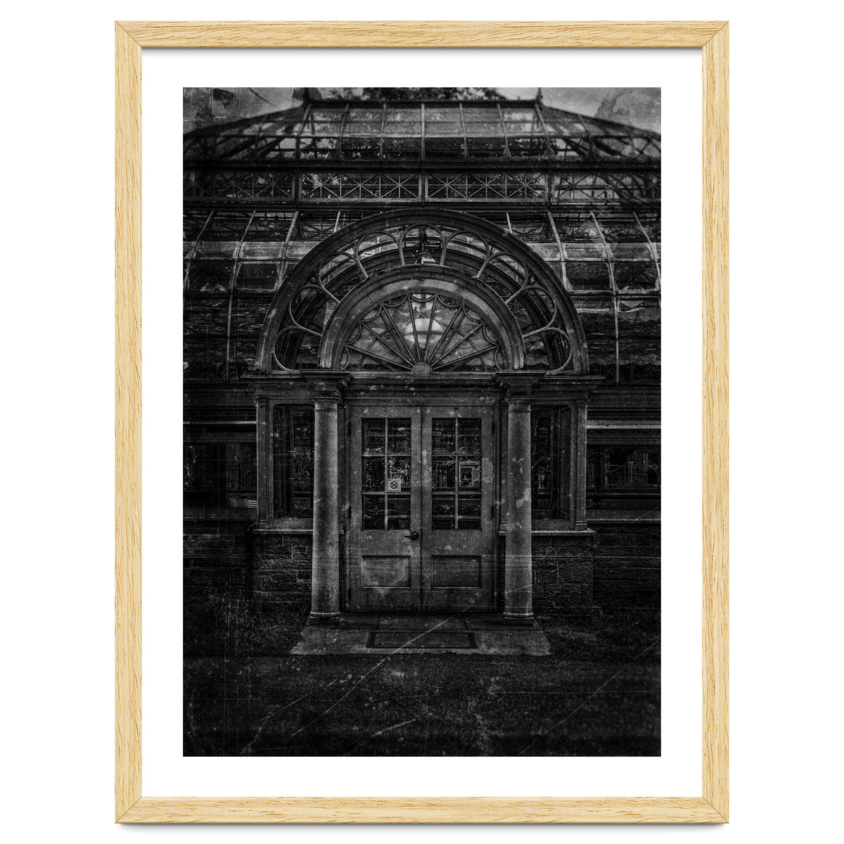 Allan Gardens Conservatory Palm House No 5 Old Film Version