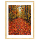Lush Autumn Forest Path Covered thumbnail