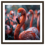 Beautiful Close Up Of A Pink Flamingo Bird thumbnail