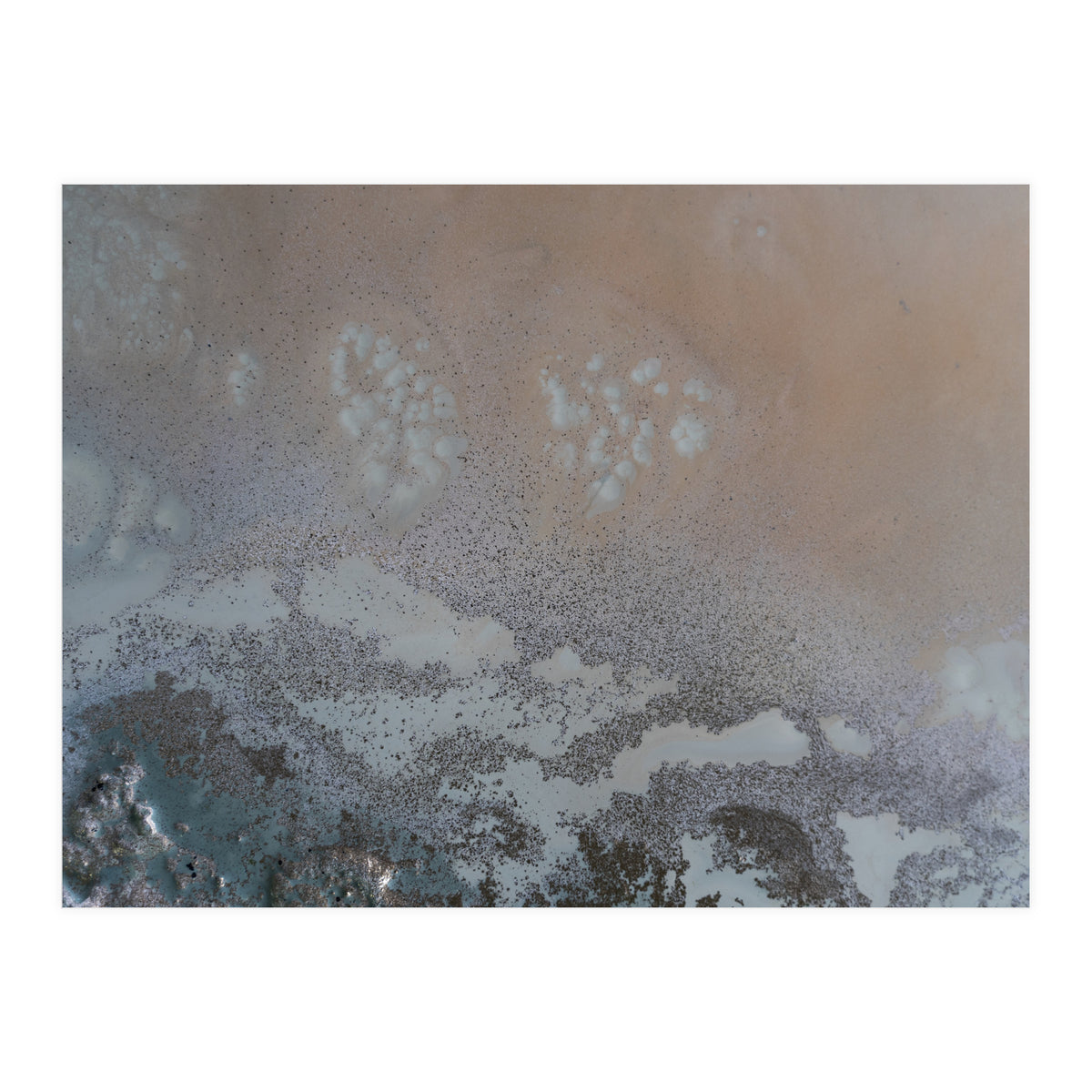 Edge Of Life (Print Only)