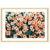 Floral Bliss, Nature Photography Garden Meadow, Blush Orange Coral Summer Flowers Botanical thumbnail