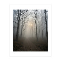 Ethereal Morning Light Breaking Through Dense Forest Fog (Print Only)