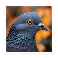 Close Up Of A Pigeon's Head And Neck (Print Only)