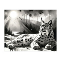 Lynx Resting In Sunlight (Print Only)