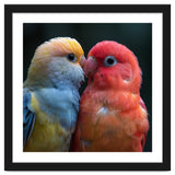 Two Lovebirds Nuzzling Close Up Portrait thumbnail