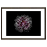 Backyard Flowers No 118 Color Version thumbnail
