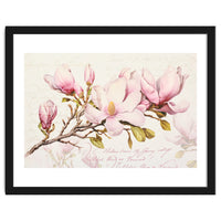 Magnolia Spring Romance Pink