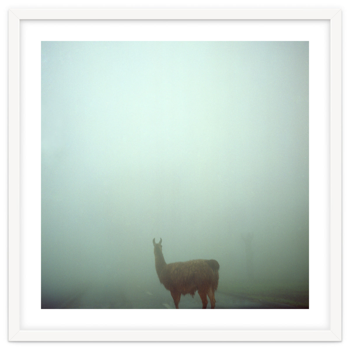 Silence of breath - 04