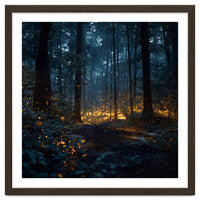Enchanted Midnight Forest with Glowing Fireflies