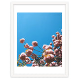 Pink Summer thumbnail