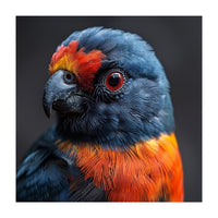 Close Up Portrait Of A Colorful Parrot (Print Only)