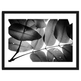 Branches and Leaves, 2016, 3 thumbnail