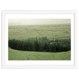 Small forest - Iceland thumbnail