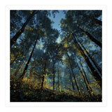 Celestial Forest Canopy with Swirling Golden Fireflies and Deep Twilight Blue Sky Digital Art (Print Only) thumbnail