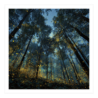 Celestial Forest Canopy with Swirling Golden Fireflies and Deep Twilight Blue Sky Digital Art (Print Only)