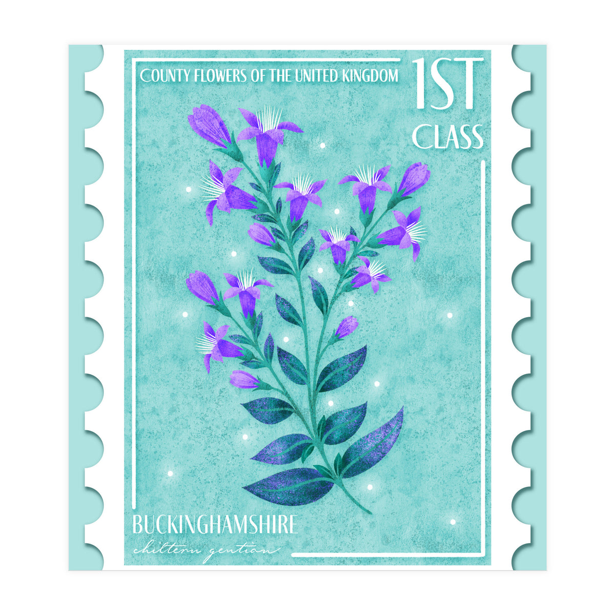 The Buckinghamshire Chiltern Gentian Postage Stamp (Print Only)