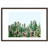 Blush Cactus #society6 #decor #buyart thumbnail