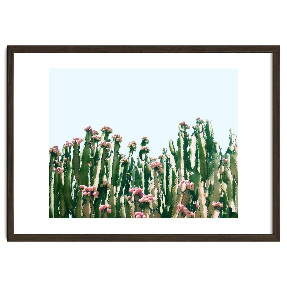 Blush Cactus #society6 #decor #buyart