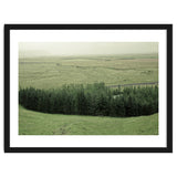 Small forest - Iceland thumbnail