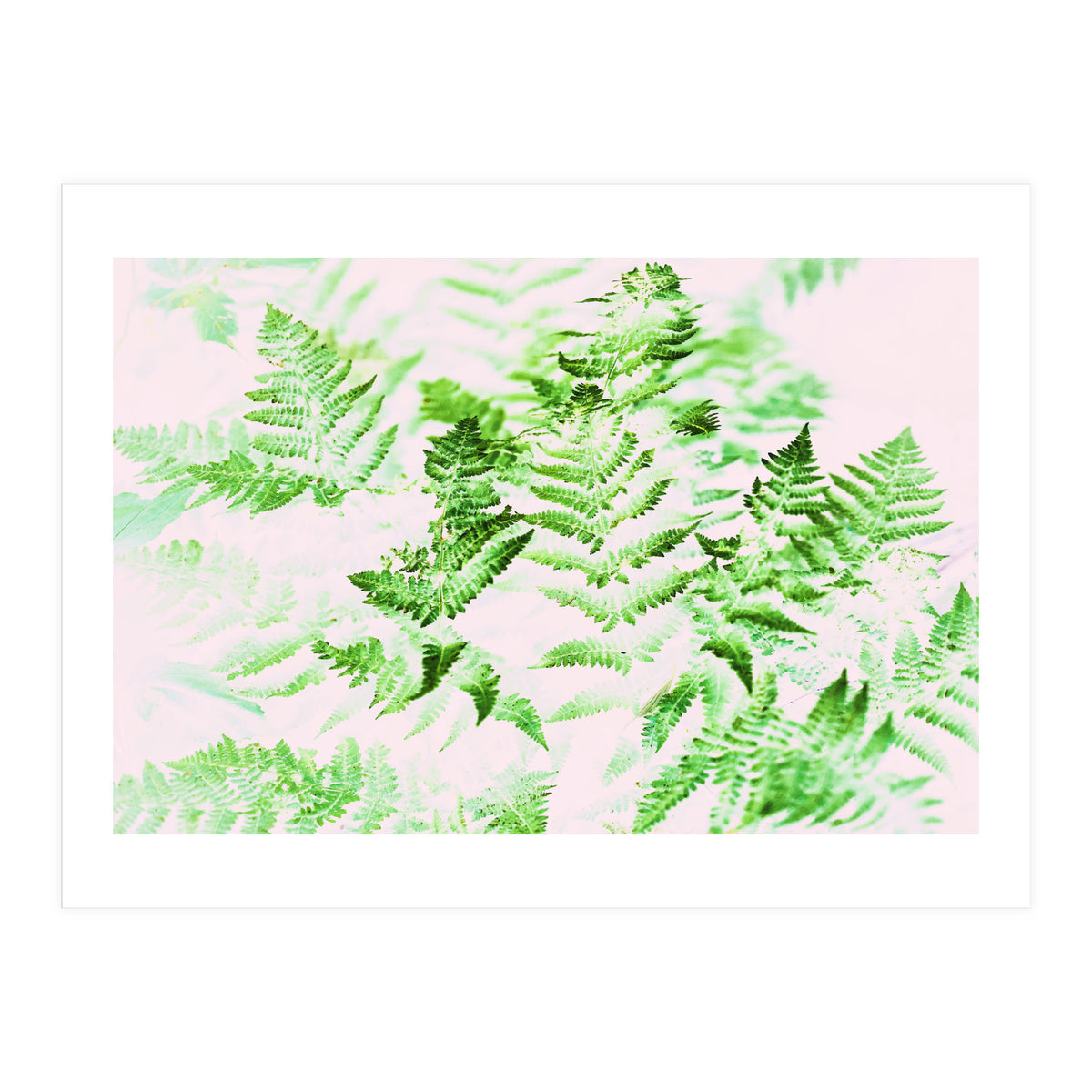 Fern Forest #society6 #decor #buyart (Print Only)