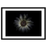 Backyard Flowers No 27 Color Version thumbnail