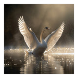 Graceful Swan Spreading Wings On Sparkling Water (Print Only) thumbnail