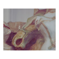Ceramics II (Print Only)