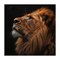 Majestic Lion Portrait Profile Majestic Beast (Print Only)