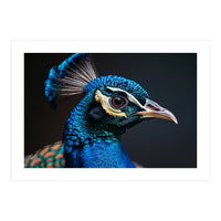 Close Up Peacock Head Blue Green Feather  (Print Only)