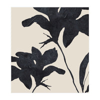 Shadowed Blooms (Print Only)
