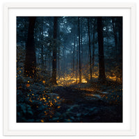 Enchanted Midnight Forest with Glowing Fireflies