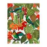 Tropical Parrots In Flower Jungle  (Print Only) thumbnail