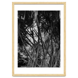 Black Tectorius Plant Art thumbnail