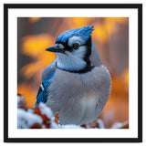 Blue Jay Bird In Winter Snowfall And Leaves thumbnail
