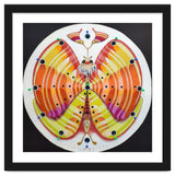 Clock butterfly thumbnail