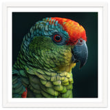 Close Up Colorful Parrot Bird Feather thumbnail
