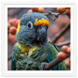 Yellow Headed Amazon Parrot Close Up Portrait thumbnail
