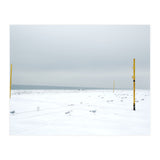 Seagulls in between the volleyball poles in winter snow beach (Print Only) thumbnail