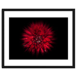 Backyard Flowers No 45 Color Flow Version thumbnail