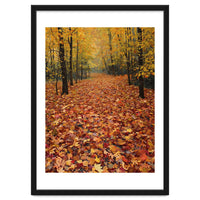 Ethereal Autumn Forest Path