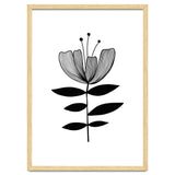 Tulip blossom thumbnail