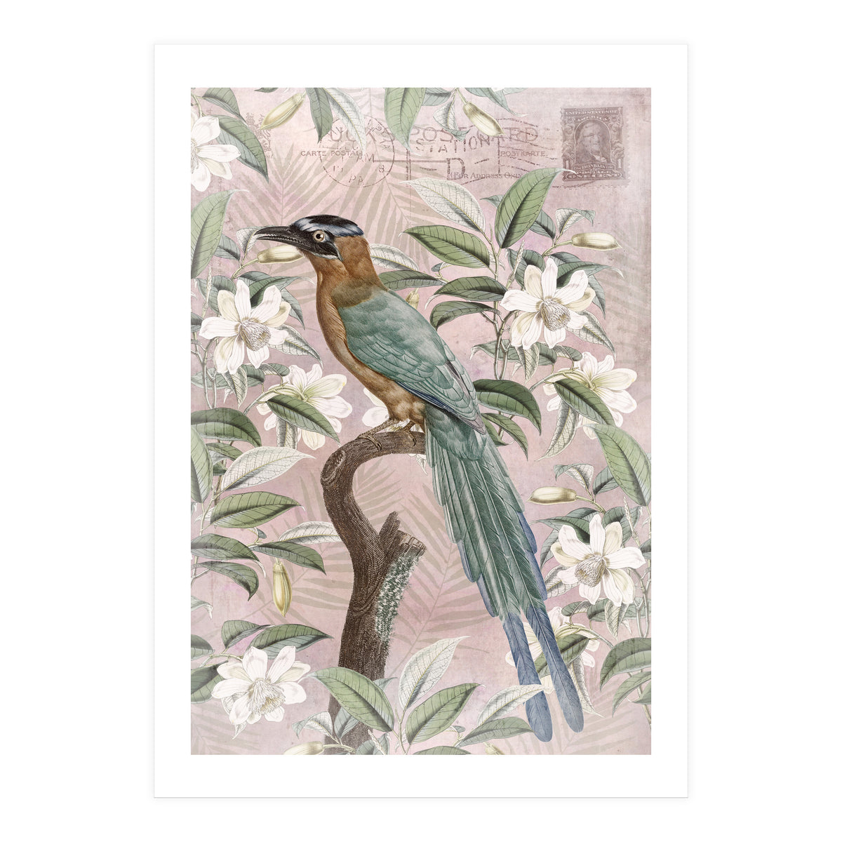 Exotic Bird (Print Only)