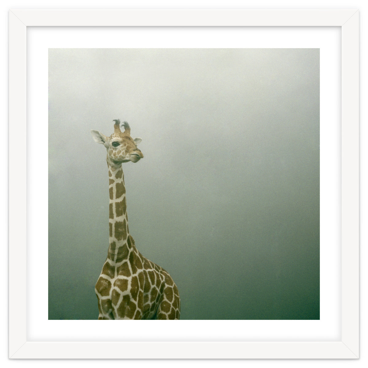 Silence of breath - 08