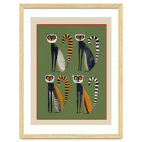 Striped Lemurs