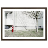 Red light pole and Tree shadow on the wall thumbnail