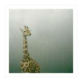 Silence of breath - 08 (Print Only) thumbnail