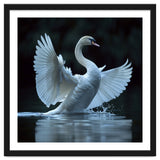 Majestic White Swan Spreading Wings On Water thumbnail
