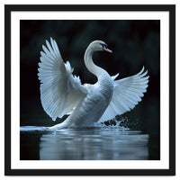 Majestic White Swan Spreading Wings On Water