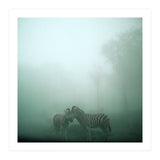 Silence of breath - 11 (Print Only) thumbnail