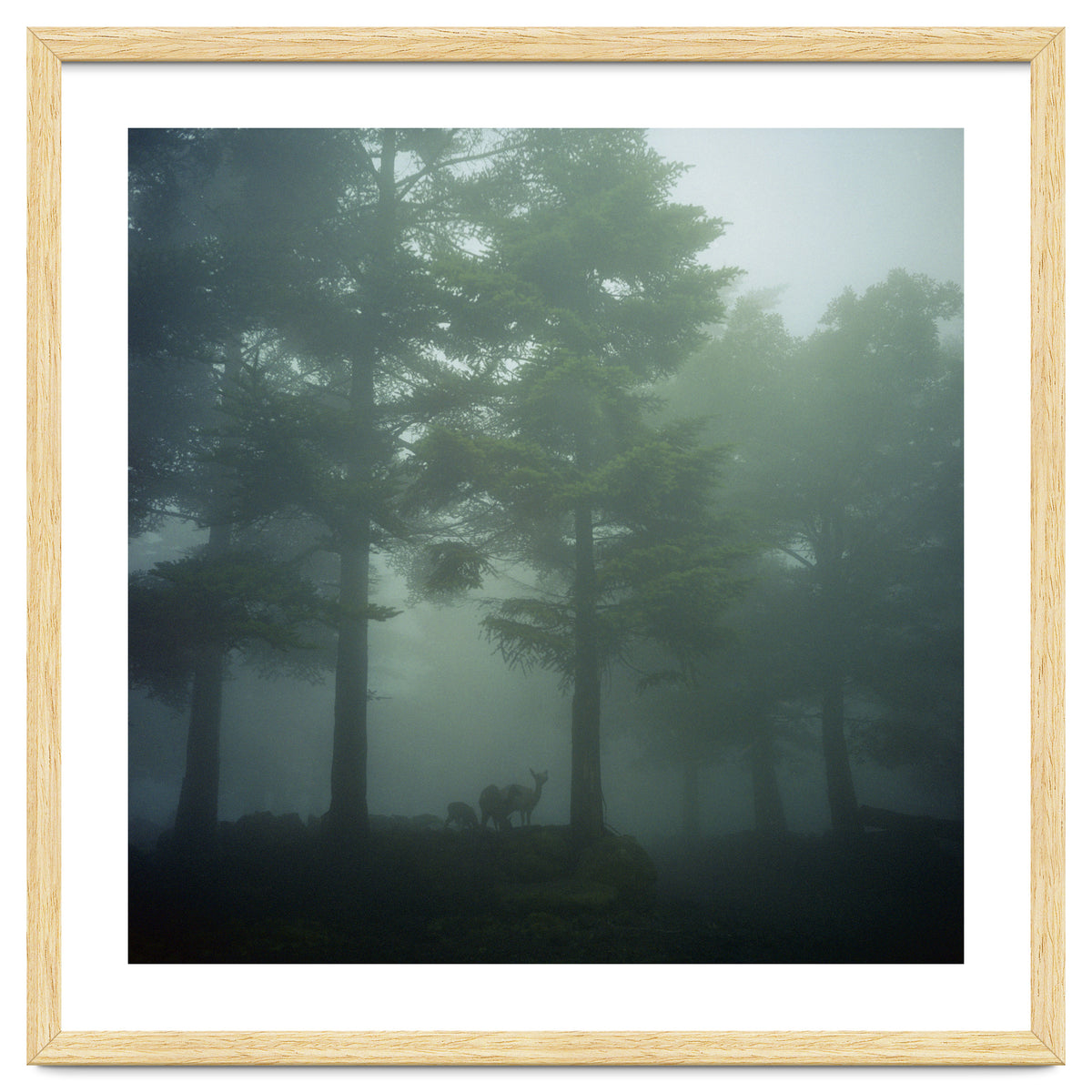 Silence of breath - 10